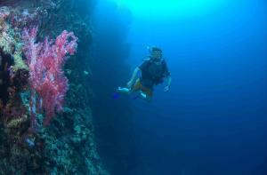 Anthony Howland - Daddy Pittsburg, USA