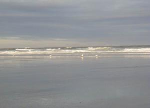 USA Daddies Clement Ayon - Daddy Oklahoma, USA