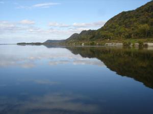 Jason Johnson - Daddy San Diego, USA