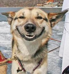 USA Daddies Ryan Jones - Daddy Tampa, USA