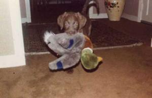 United Kingdom Daddies Walter Bryant - Daddy Manchester, United Kingdom